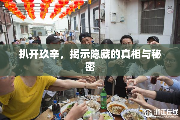 扒开玖辛，揭示隐藏的真相与秘密