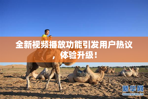 全新视频播放功能引发用户热议，体验升级！