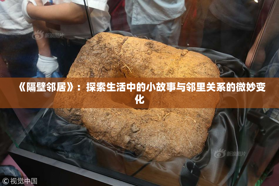 《隔壁邻居》：探索生活中的小故事与邻里关系的微妙变化