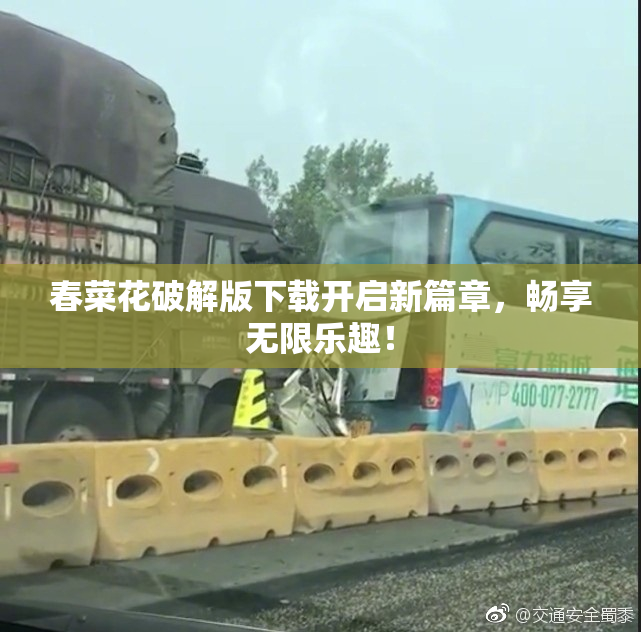 春菜花破解版下载开启新篇章，畅享无限乐趣！