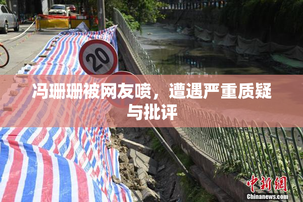 冯珊珊被网友喷，遭遇严重质疑与批评