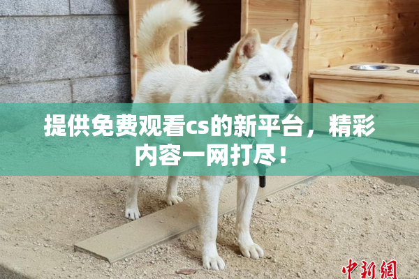 提供免费观看cs的新平台，精彩内容一网打尽！