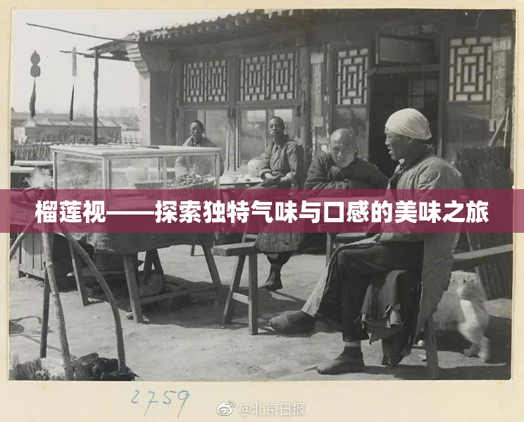 榴莲视——探索独特气味与口感的美味之旅