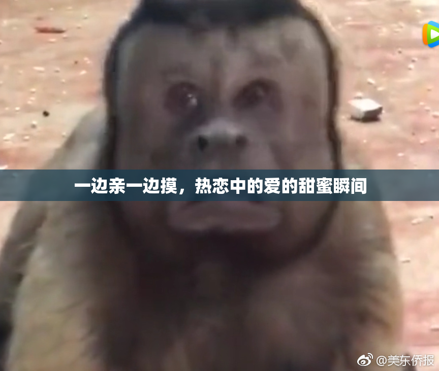 一边亲一边摸，热恋中的爱的甜蜜瞬间