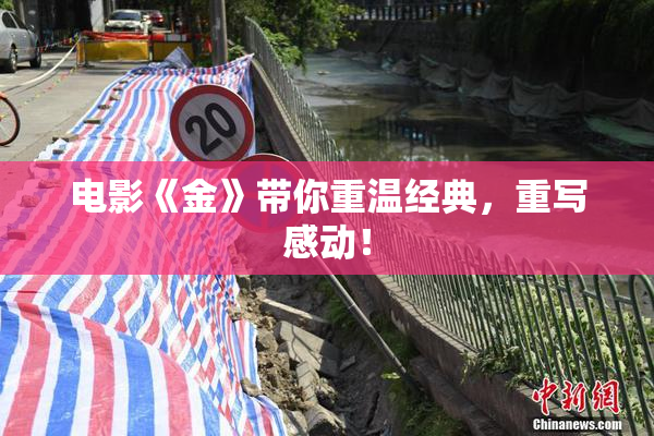 电影《金》带你重温经典，重写感动！
