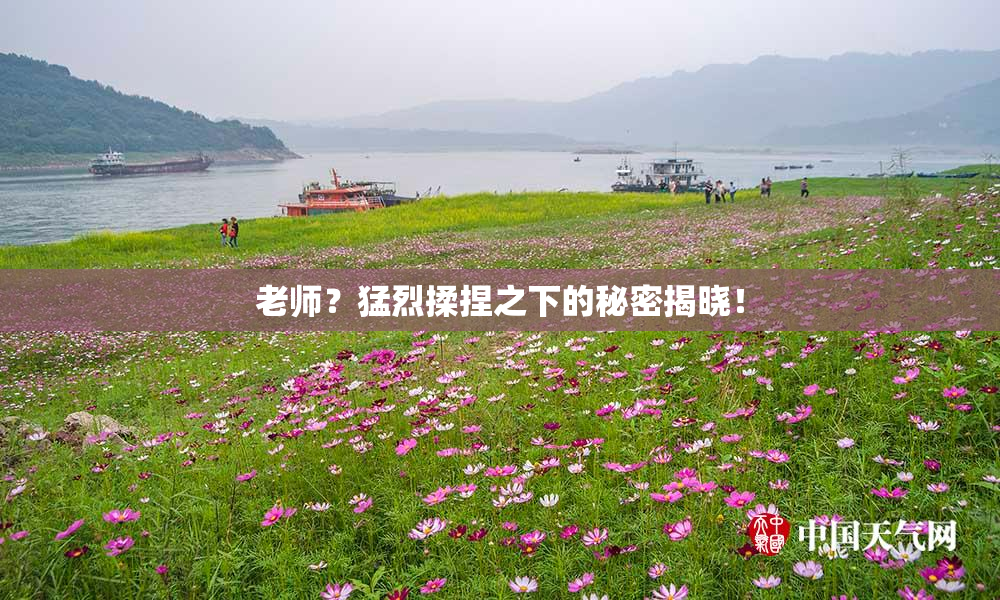 老师？猛烈揉捏之下的秘密揭晓！