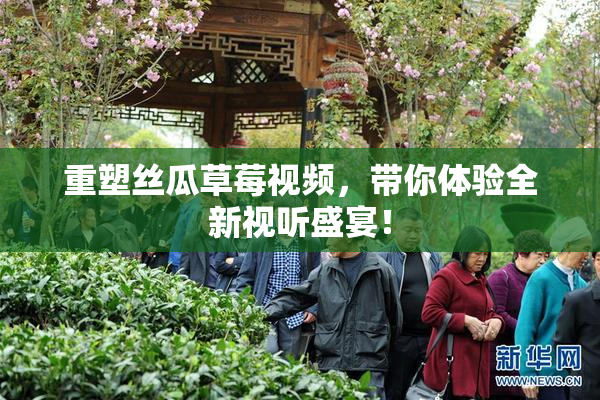 重塑丝瓜草莓视频，带你体验全新视听盛宴！