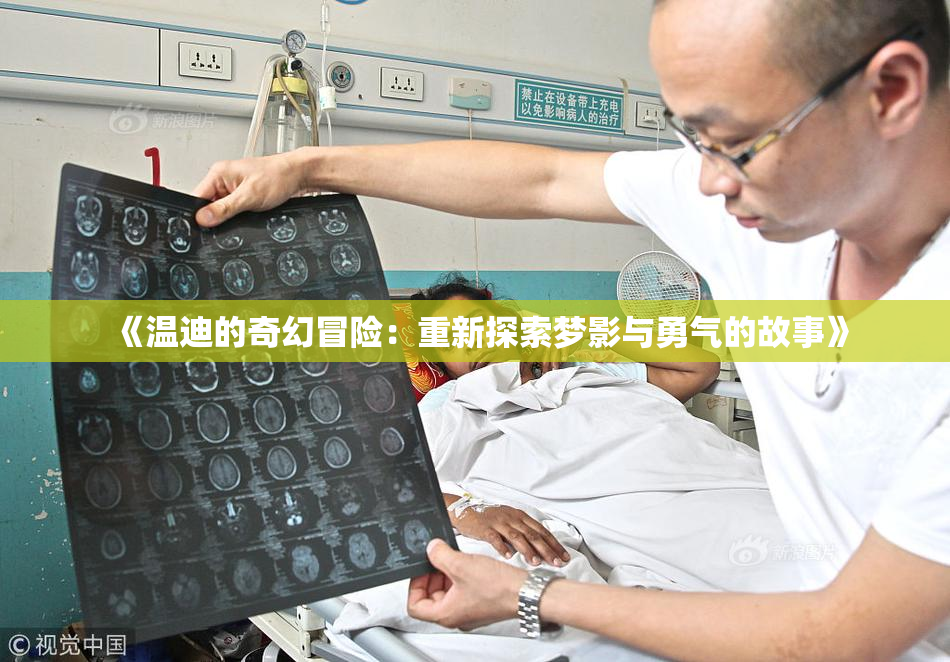 《温迪的奇幻冒险：重新探索梦影与勇气的故事》