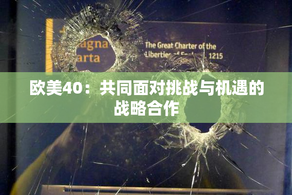 欧美40：共同面对挑战与机遇的战略合作