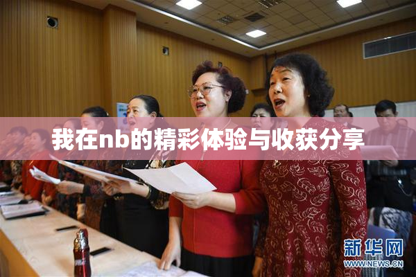 我在nb的精彩体验与收获分享