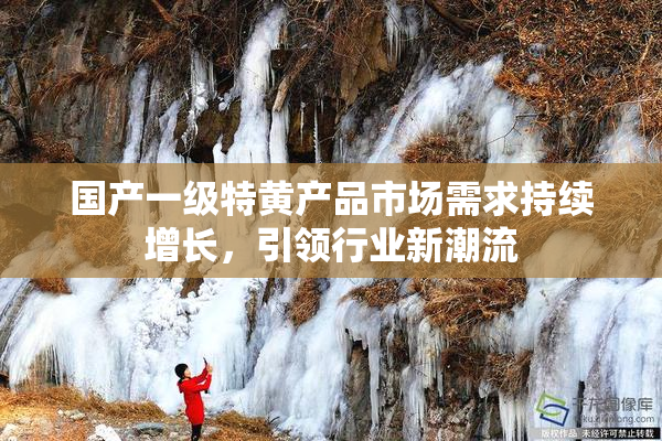 国产一级特黄产品市场需求持续增长，引领行业新潮流