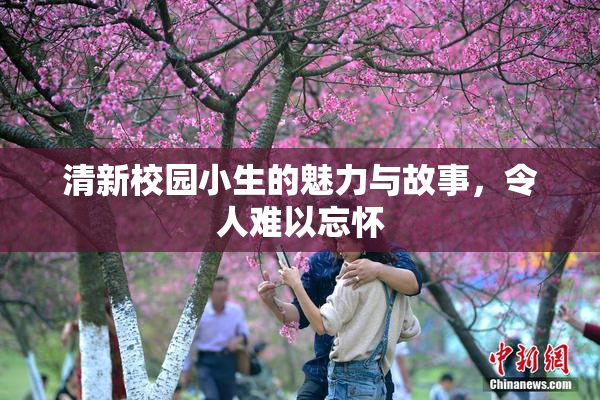 清新校园小生的魅力与故事，令人难以忘怀
