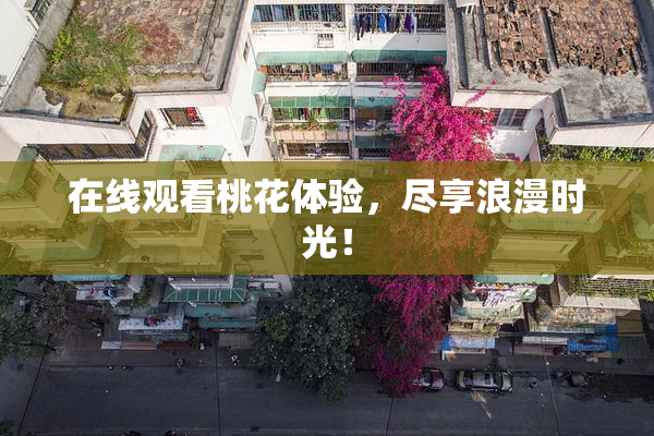在线观看桃花体验，尽享浪漫时光！