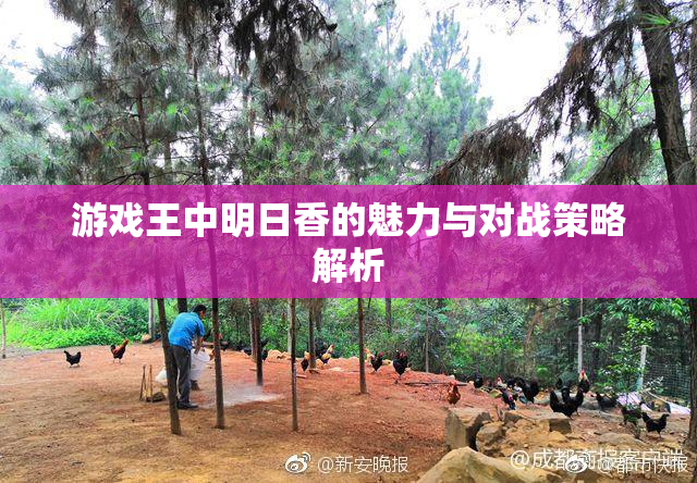 游戏王中明日香的魅力与对战策略解析