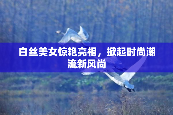 白丝美女惊艳亮相，掀起时尚潮流新风尚