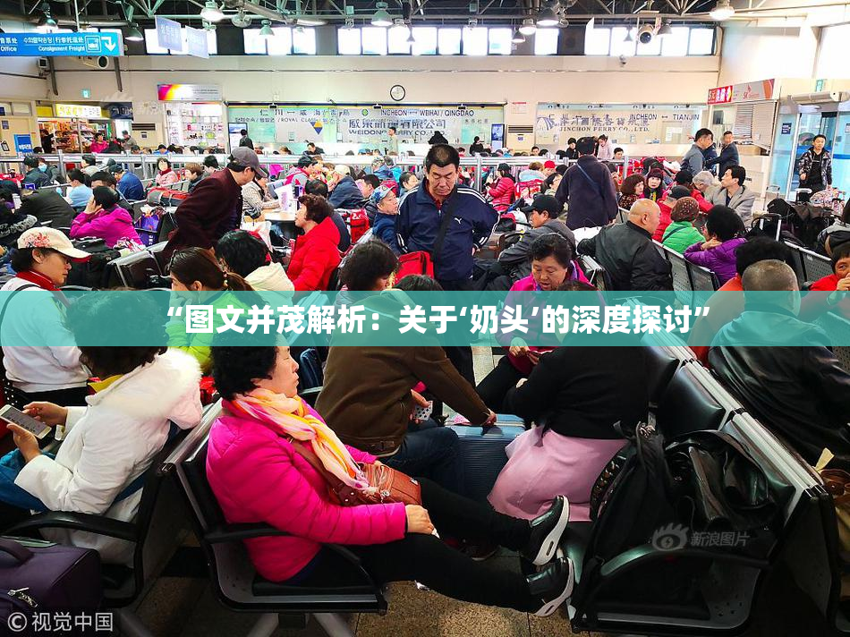 “图文并茂解析：关于‘奶头’的深度探讨”