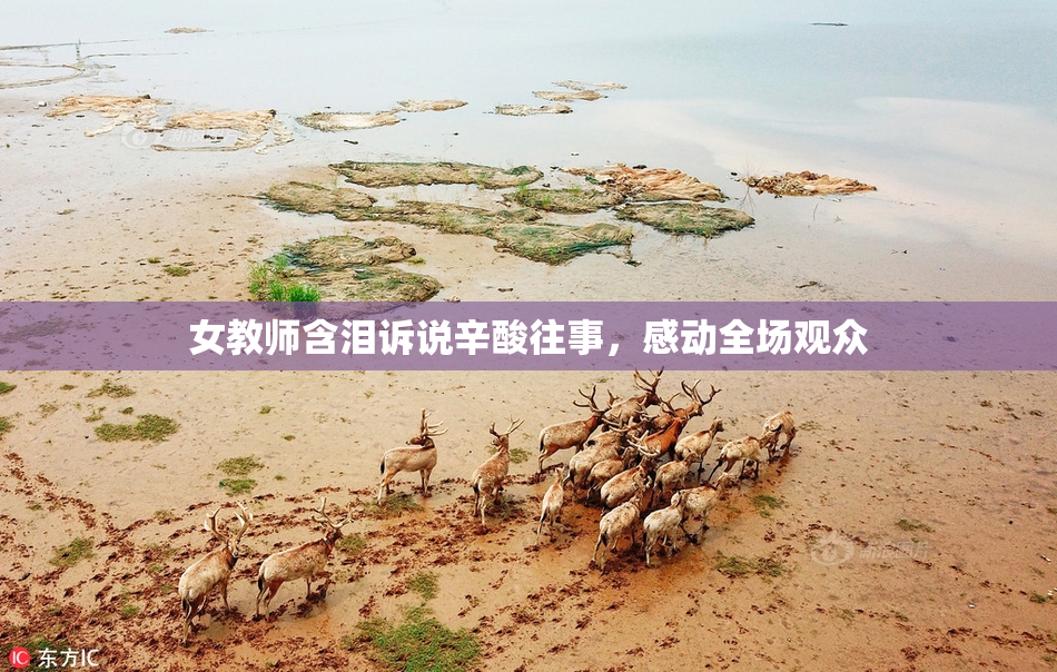 女教师含泪诉说辛酸往事，感动全场观众