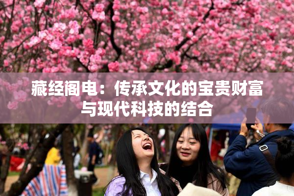 藏经阁电：传承文化的宝贵财富与现代科技的结合