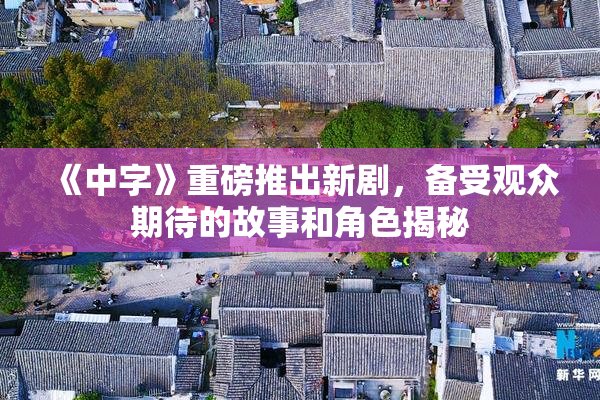 《中字》重磅推出新剧，备受观众期待的故事和角色揭秘