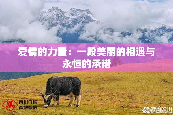 爱情的力量：一段美丽的相遇与永恒的承诺