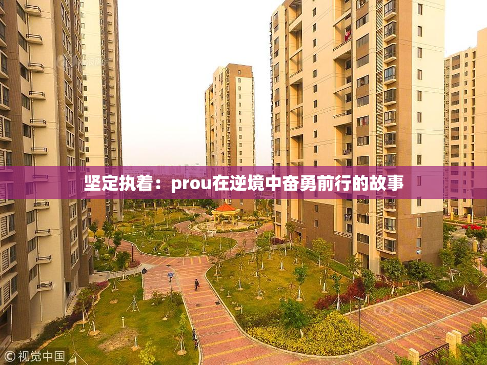 坚定执着：prou在逆境中奋勇前行的故事