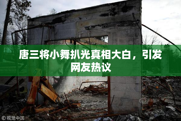 唐三将小舞扒光真相大白，引发网友热议