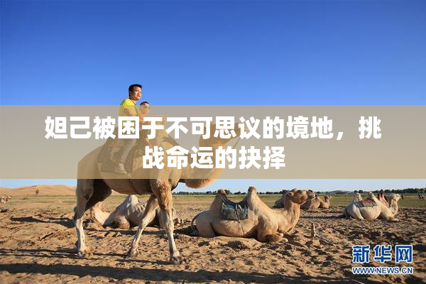 妲己被困于不可思议的境地，挑战命运的抉择