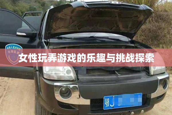 女性玩弄游戏的乐趣与挑战探索