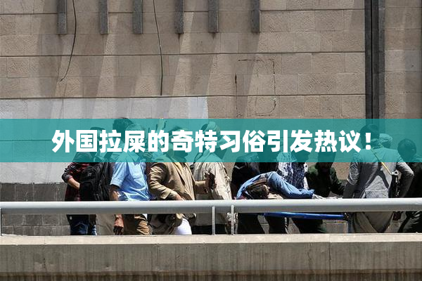 外国拉屎的奇特习俗引发热议！