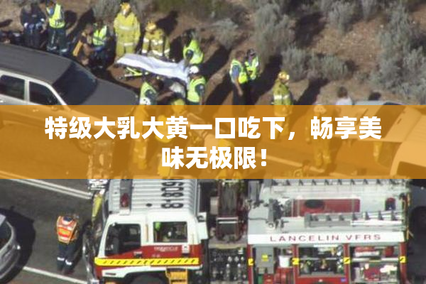 特级大乳大黄一口吃下，畅享美味无极限！
