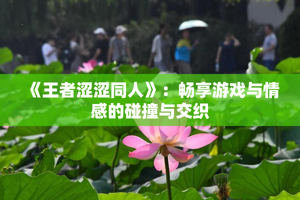 《王者涩涩同人》：畅享游戏与情感的碰撞与交织
