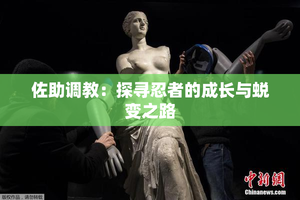 佐助调教：探寻忍者的成长与蜕变之路
