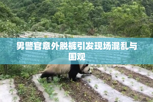 男警官意外脱裤引发现场混乱与围观
