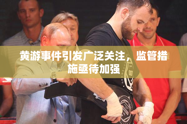 黄游事件引发广泛关注，监管措施亟待加强