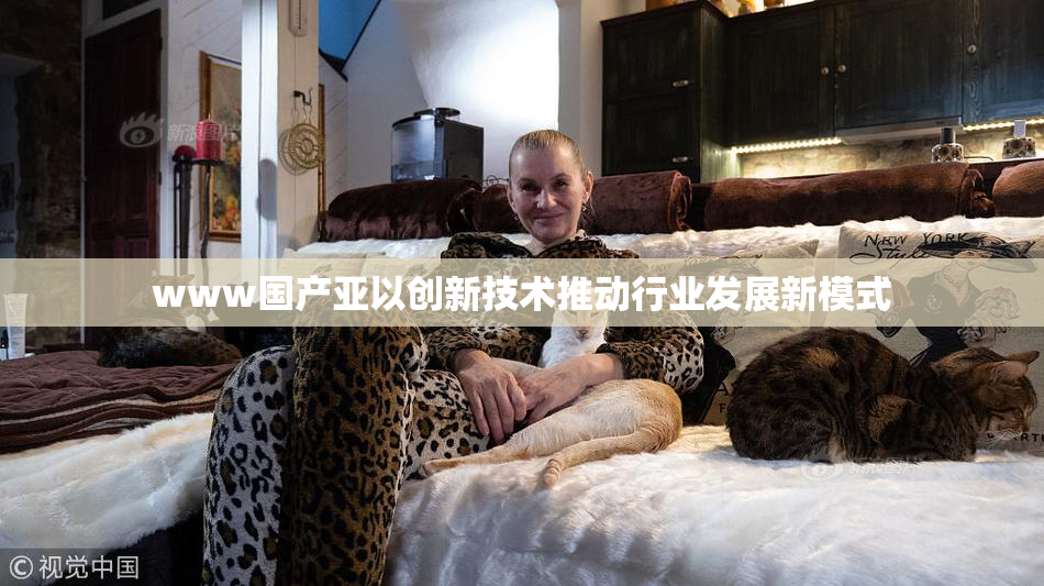 www国产亚以创新技术推动行业发展新模式