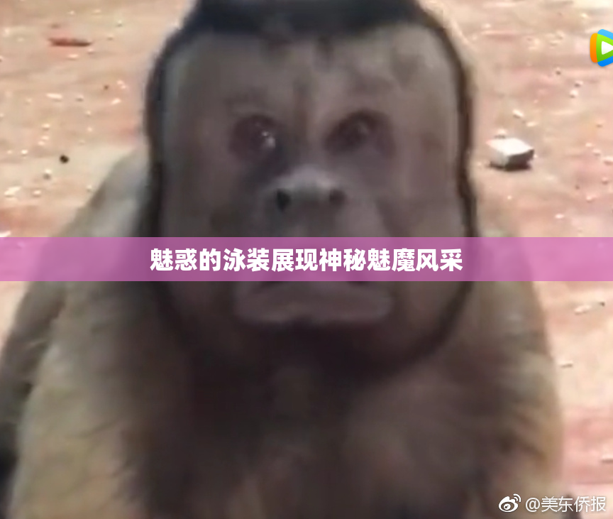 魅惑的泳装展现神秘魅魔风采