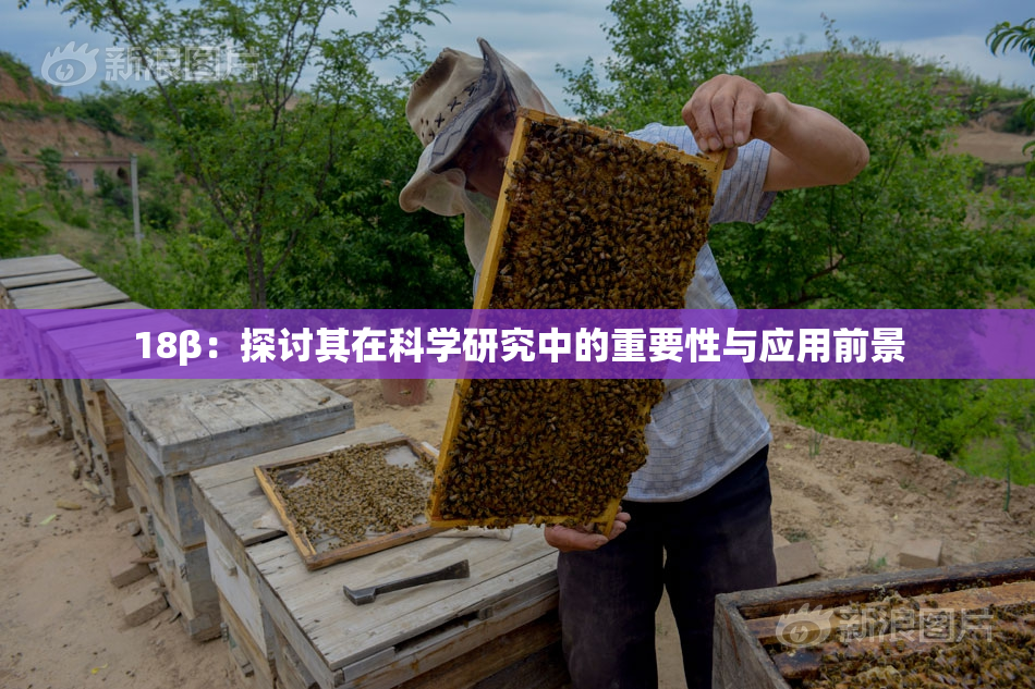 18β：探讨其在科学研究中的重要性与应用前景