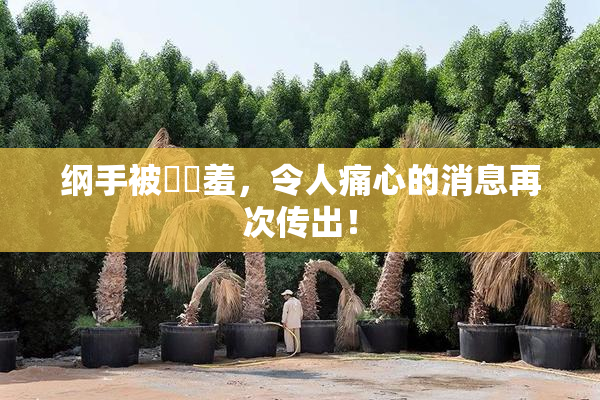 纲手被❌‌羞，令人痛心的消息再次传出！