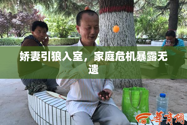 娇妻引狼入室，家庭危机暴露无遗