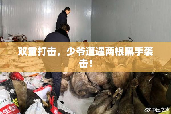 双重打击，少爷遭遇两根黑手袭击！