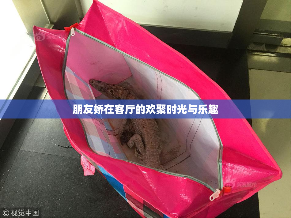 朋友娇在客厅的欢聚时光与乐趣