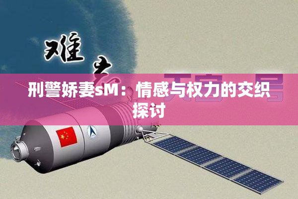 刑警娇妻sM：情感与权力的交织探讨