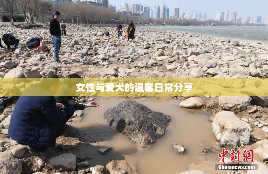 女性与爱犬的温馨日常分享