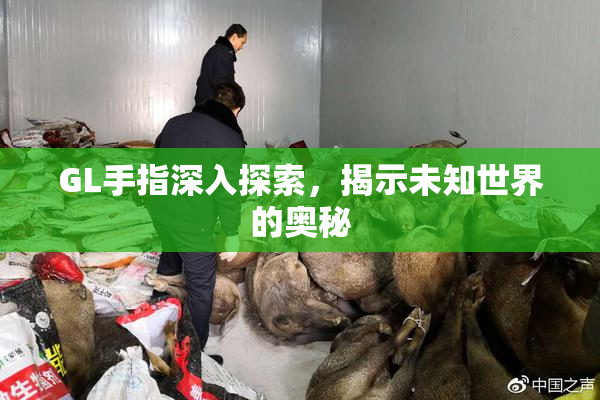 GL手指深入探索，揭示未知世界的奥秘