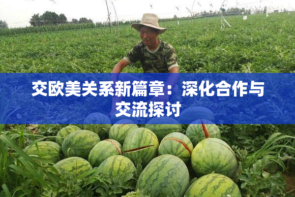 交欧美关系新篇章：深化合作与交流探讨