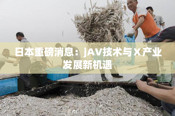 日本重磅消息：jA∨技术与Ⅹ产业发展新机遇
