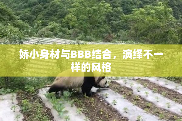 娇小身材与BBB结合，演绎不一样的风格