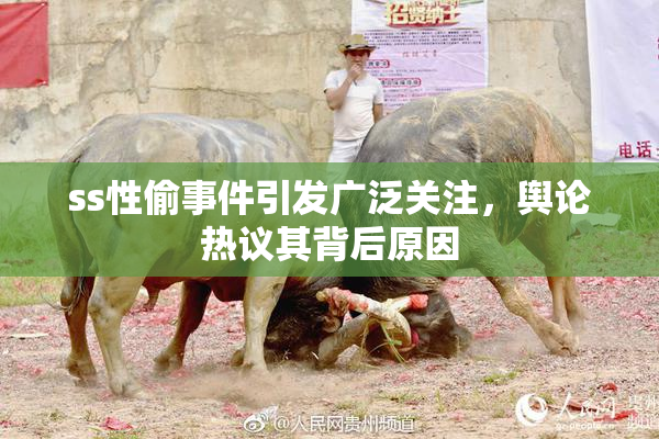 ss性偷事件引发广泛关注，舆论热议其背后原因