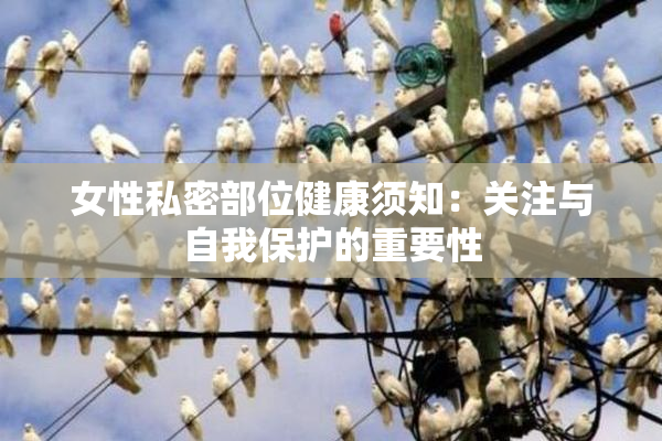 女性私密部位健康须知：关注与自我保护的重要性