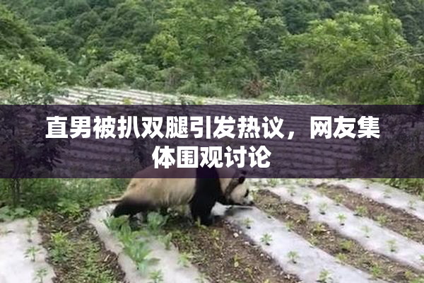 直男被扒双腿引发热议，网友集体围观讨论